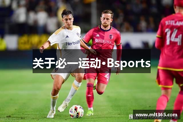 关于必一运动·Bsports
